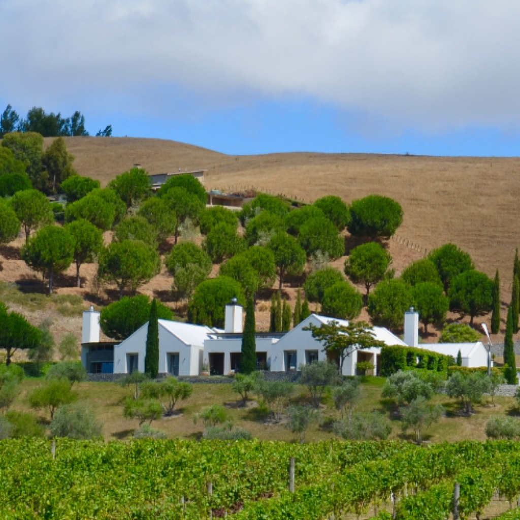 Hawke's Bay wineries 2026: Chardonnay & Syrah | WineTourism.com