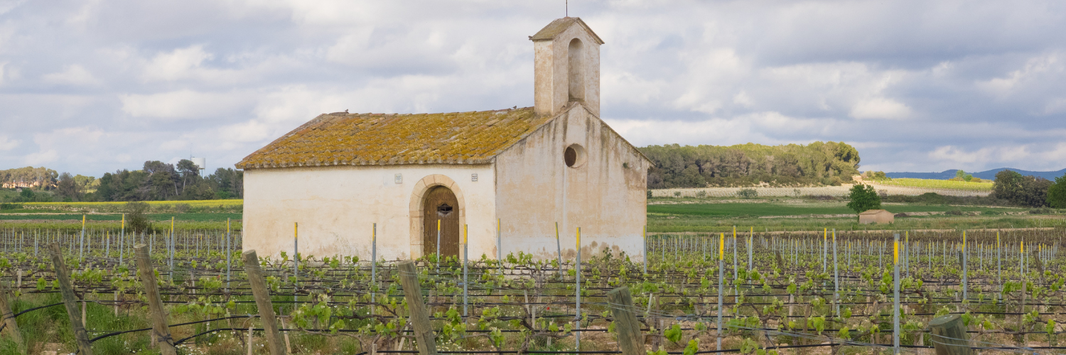 Penedes Vinyaeds