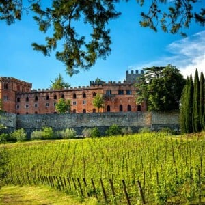 Chianti & Castle Tour from Siena - Guided Wine Tour in Tuscany ...