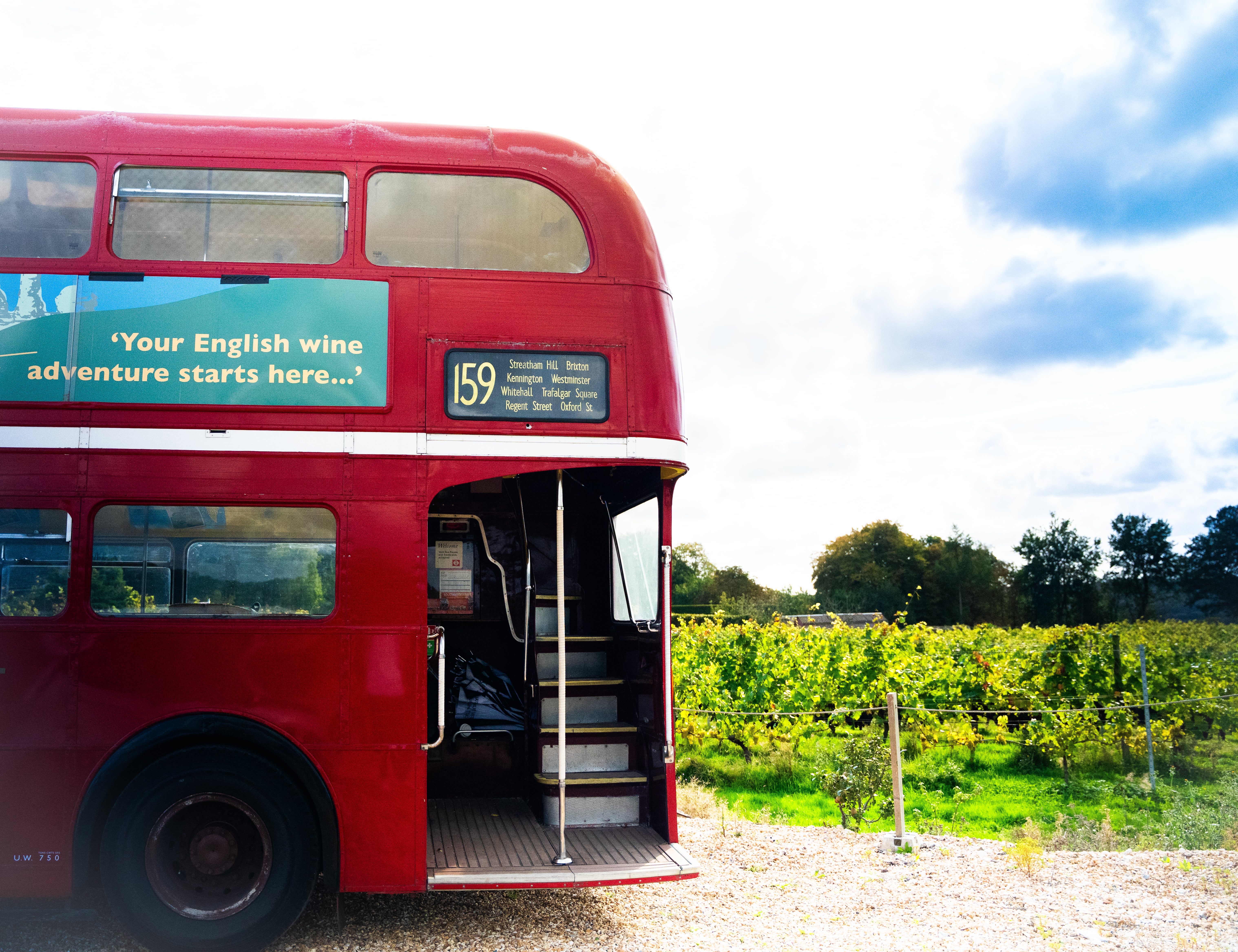 London Wine Tour to Sussex Vineyards in Sussex | WineTourism.com