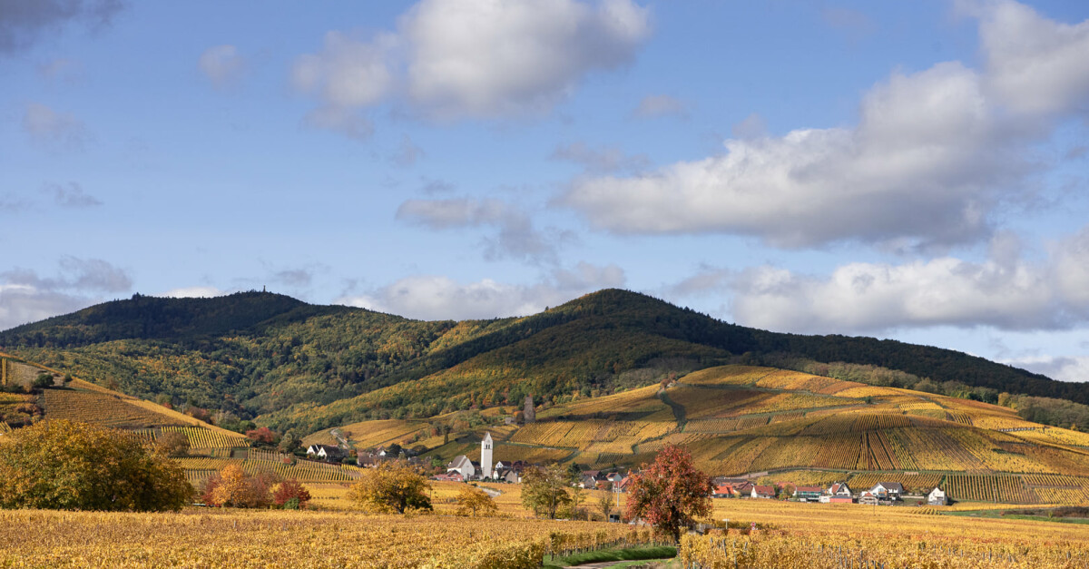 Domaine de l'Envol - Winery in Alsace | Winetourism.com