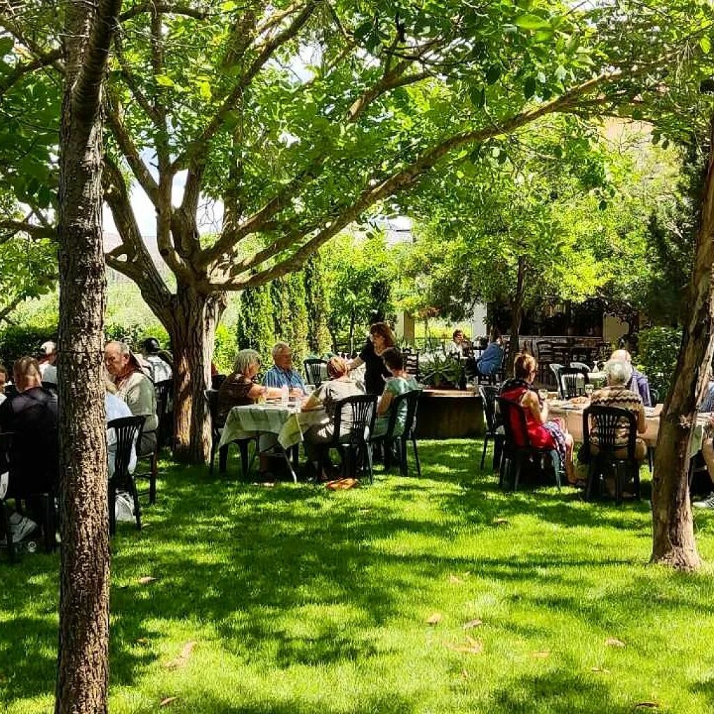 napa valley olive garden with outdoor dining