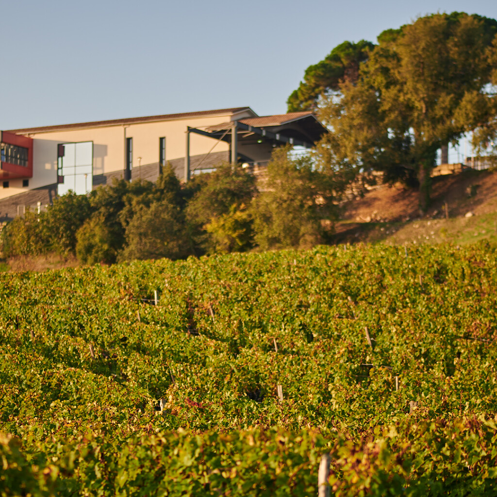 Château La Croizille - Winery in Bordeaux | Winetourism.com