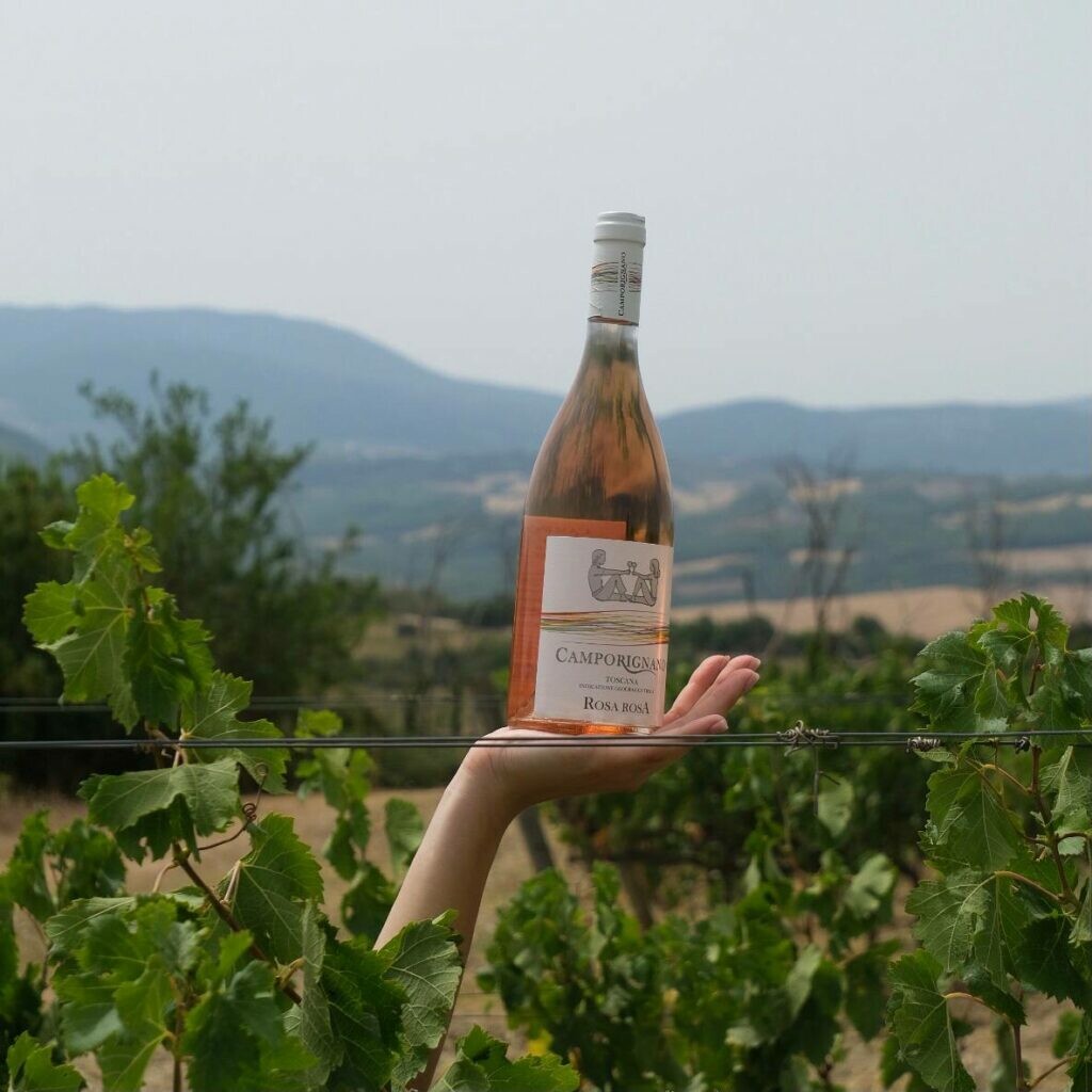 Tuscan Wine Tasting at Fattoria Camporignano | Siena | Winetourism.com
