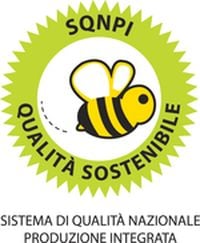 SQNPI