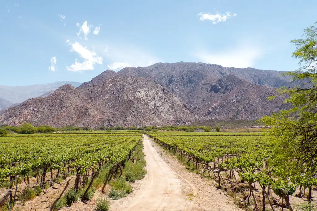 Cafayate-2633150