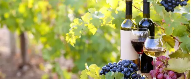 Cantine-aperte-2019-