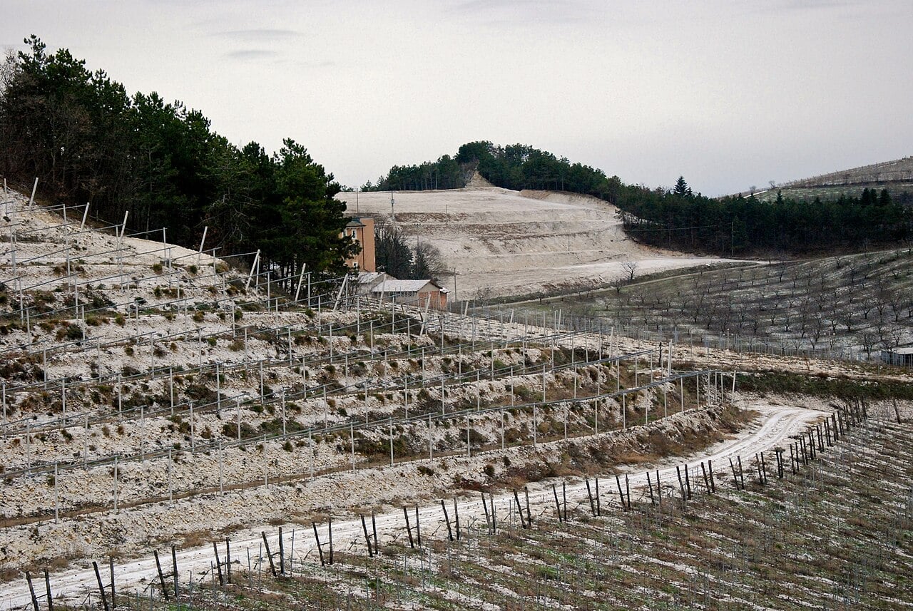 Cantine Aperte 3