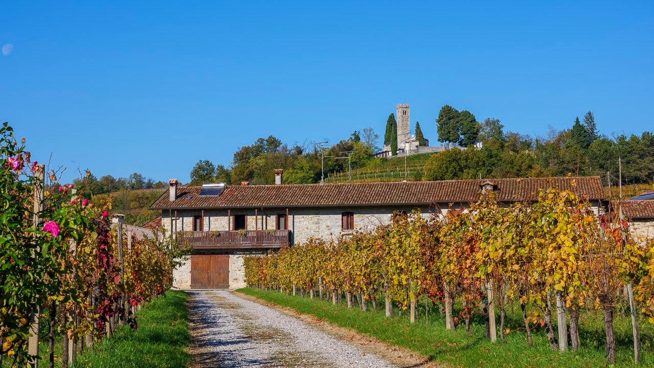 Cantine-aperte-san-martino Intro