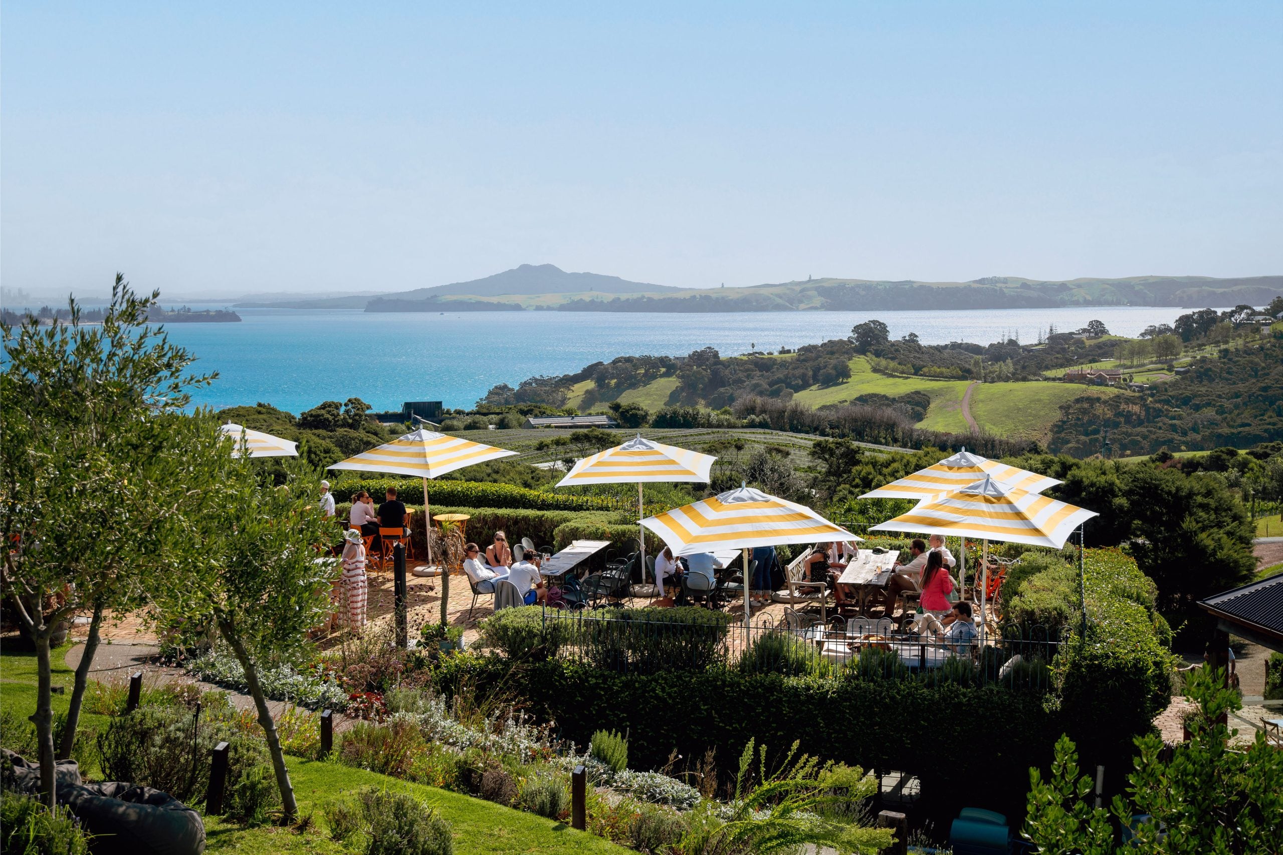 Copy-of-Mudbrick Waiheke24 RBPHOTO395copy-scaled