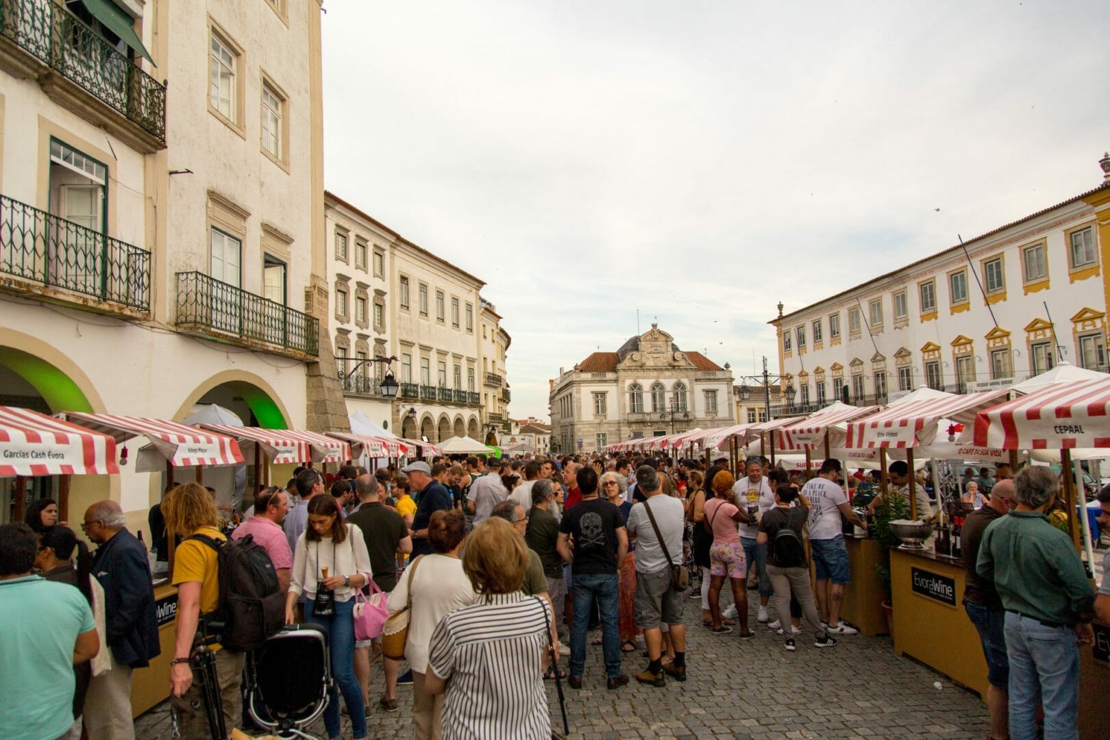EVORA-WINE-3