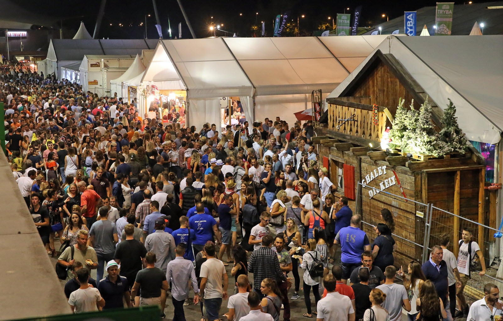 Foire Aux Vins D'Alsace (FAV Colmar)1