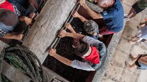 Images - 2026-05-29T165838.612