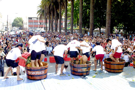 La Fiesta De La Vendimia