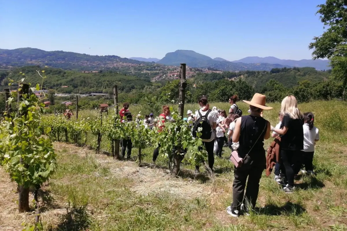 MTV CAMPANIA Cantine Aperte
