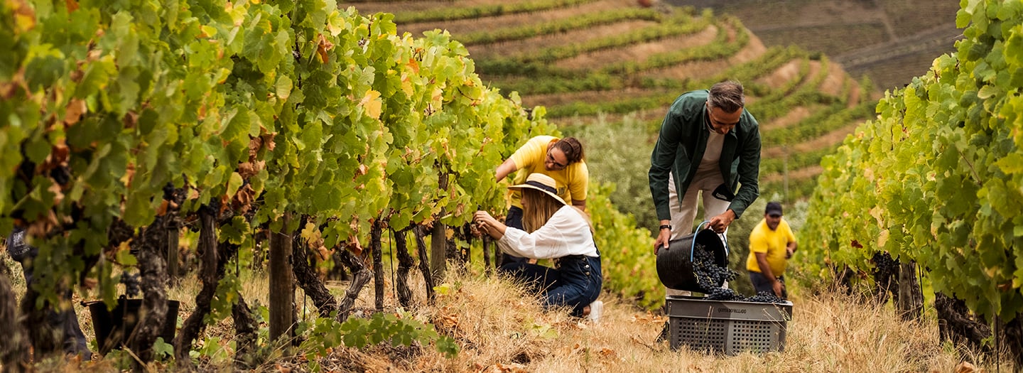 PWT VALLADOWINEFEST 16 Credit-Jose-Sarmento-Matos -144ox525 Article-banner