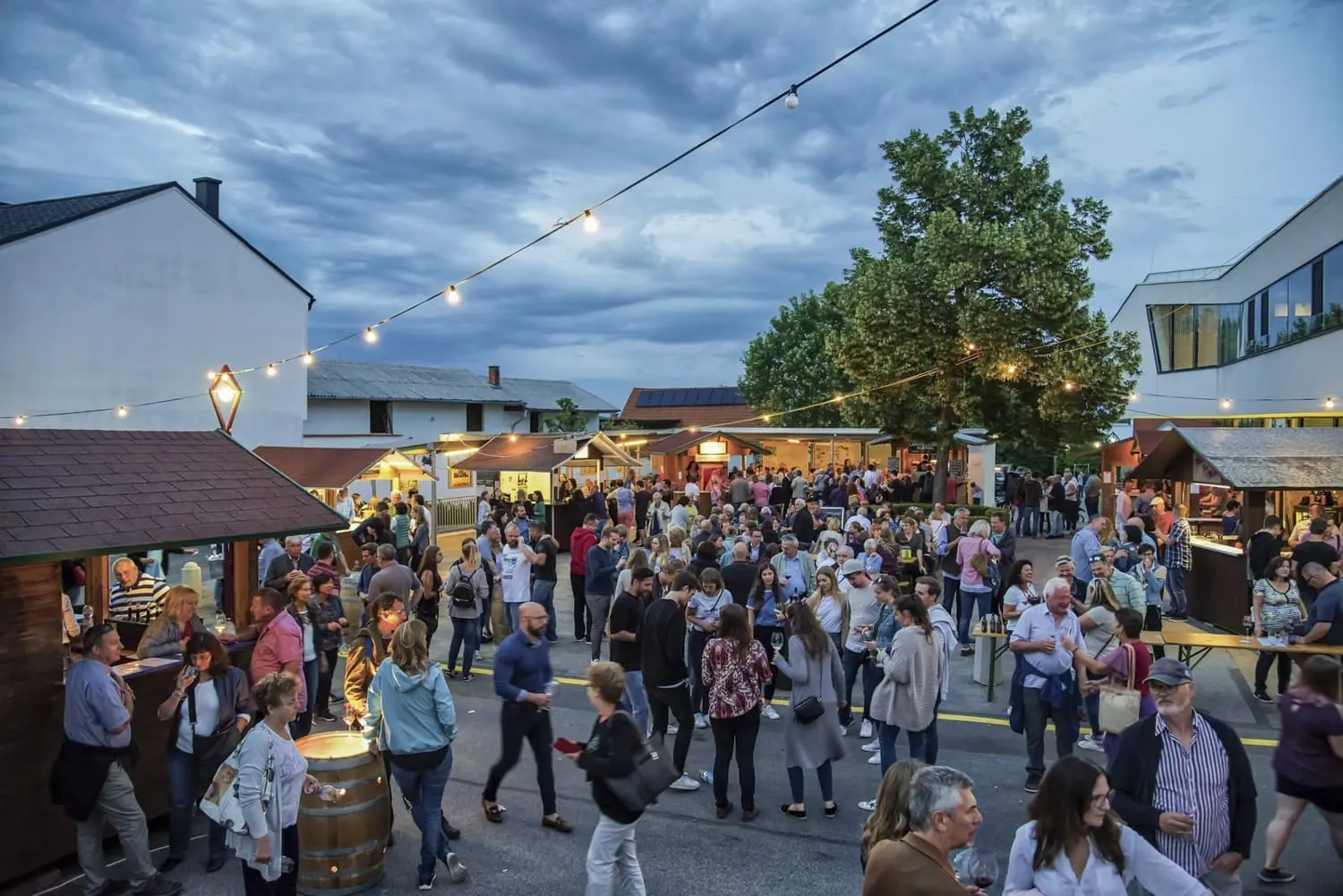 Rotweinfestival-c-Viktor-Fertsak