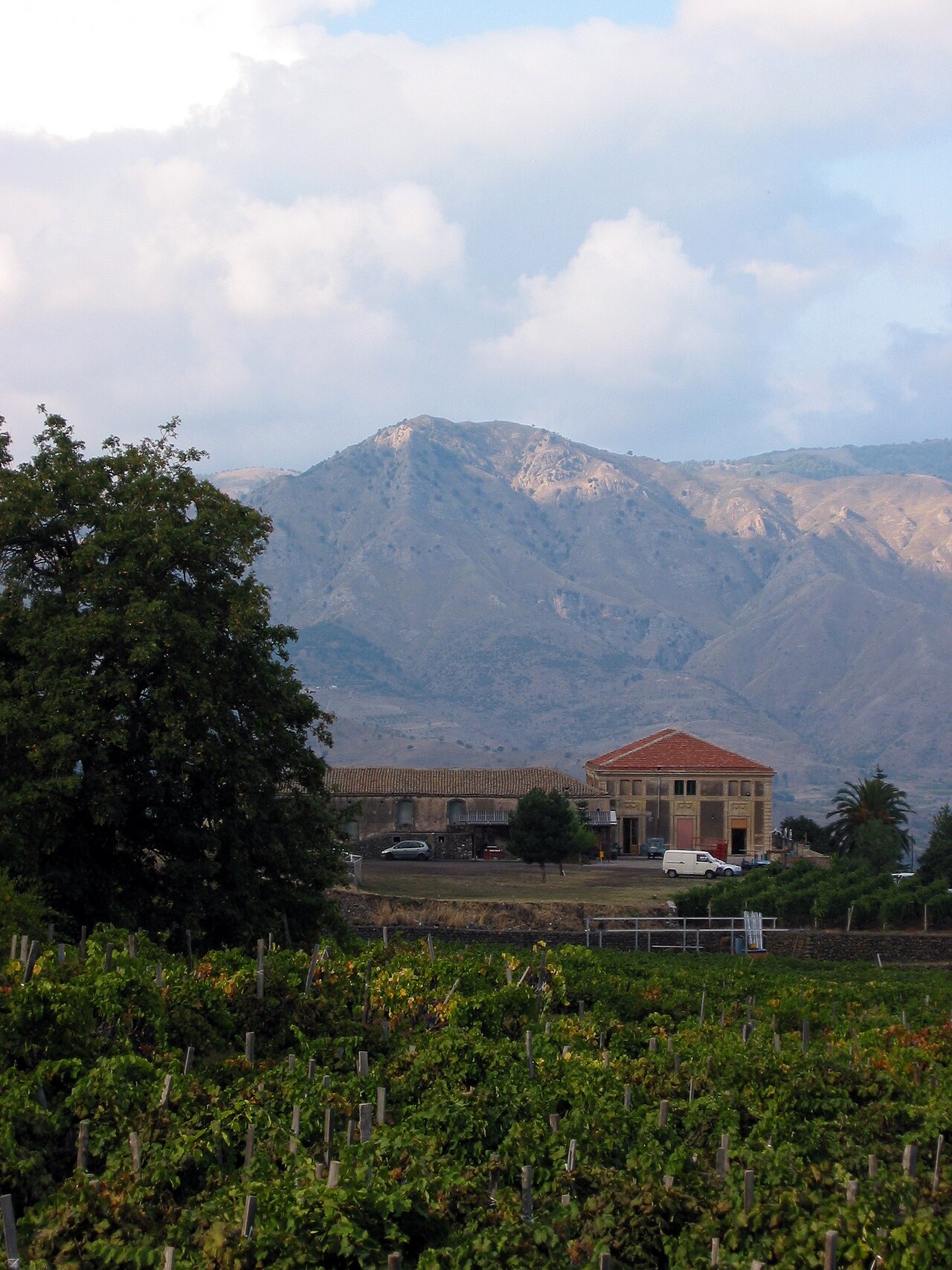 Sicilia En Primeur