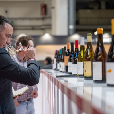 Wine Tasting Journey