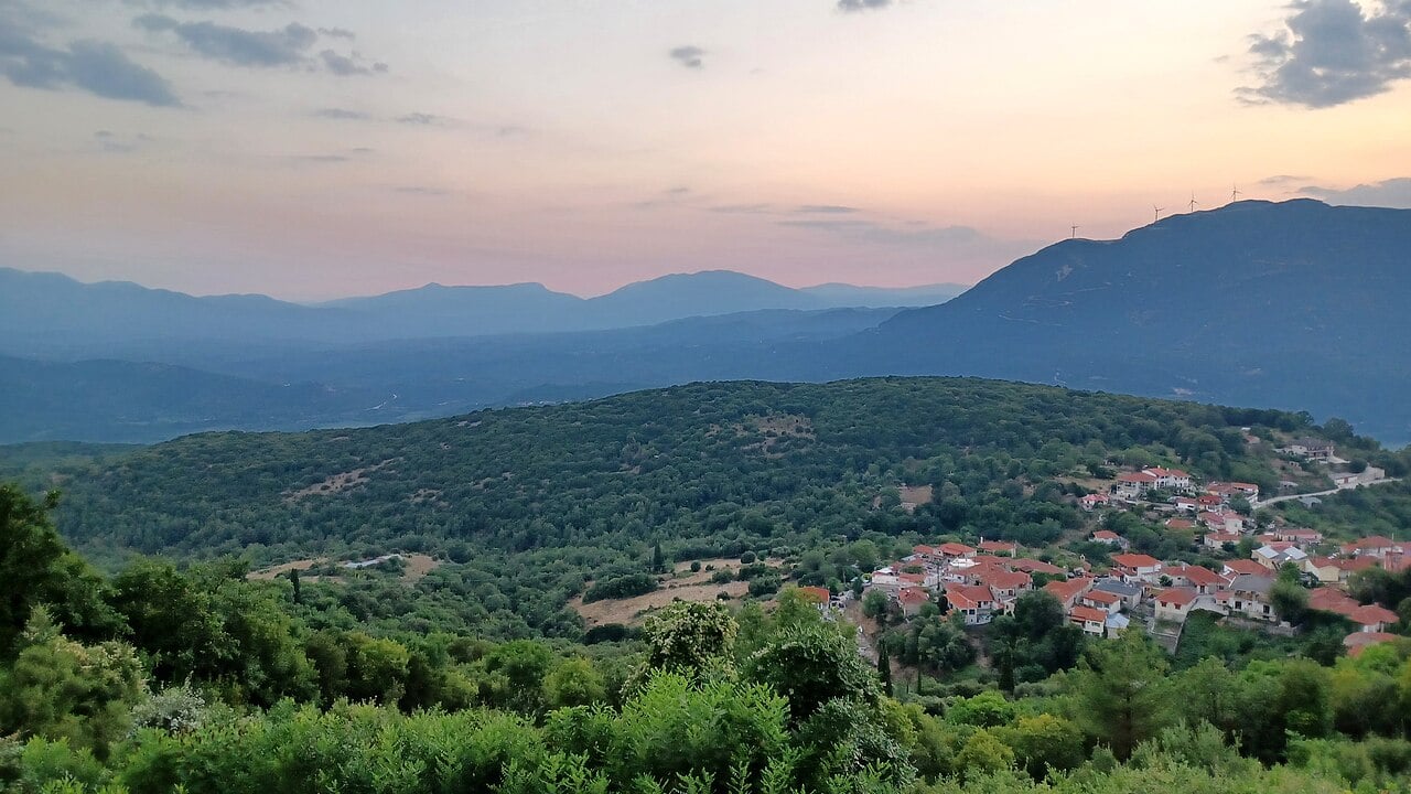 Zitsa Wine Festival