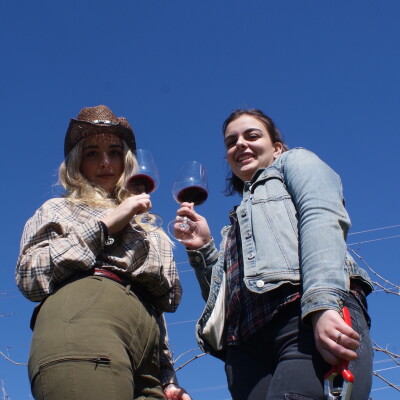 Un grand merci de notre part à tous ! 🍷