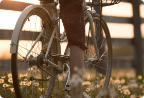 Tours en bicicleta y vino