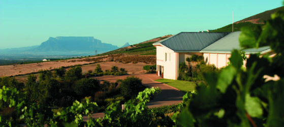 capaia wines