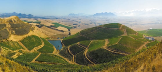 capaia wines