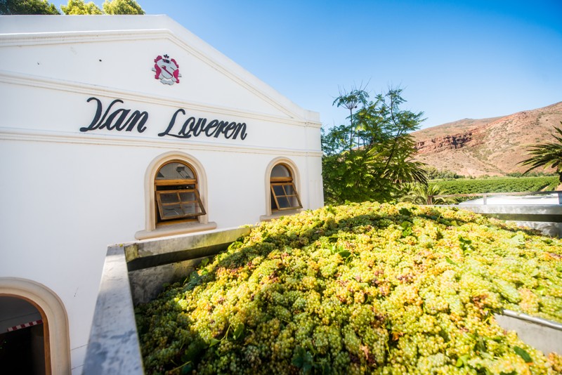 Van Loveren - Great winery in Robertson | Winetourism.com