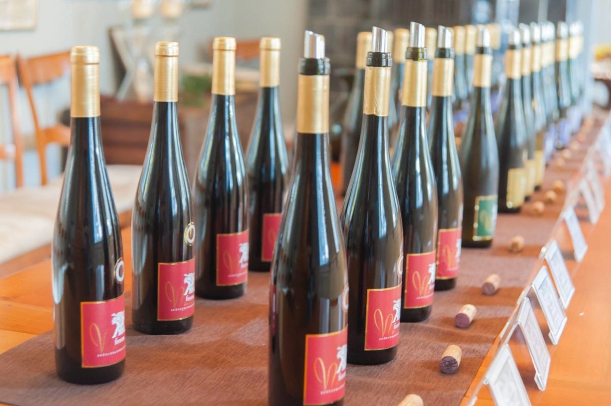 Weingut Georg Naegele Winery In Pfalz Winetourism Com 
