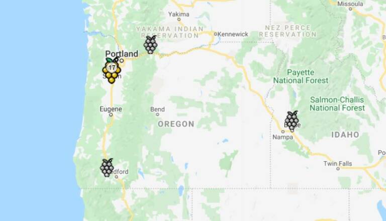 Oregon Wine Region, Usa | Winetourism